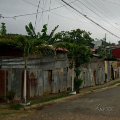 <p><strong>Proyecto Voluntariado</strong></p> <p><strong>2015</strong></p>