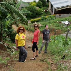 <p><strong>Proyecto Voluntariado</strong></p> <p><strong>2015</strong></p>