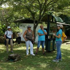<p><strong>Proyecto Voluntariado</strong></p> <p><strong>2015</strong></p>