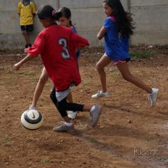 <p><strong>Proyecto Voluntariado</strong></p> <p><strong>2015</strong></p>