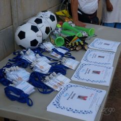 <p><strong>Proyecto Voluntariado</strong></p> <p><strong>2015</strong></p>