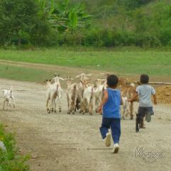 Ecuador 2013