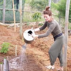 <p><strong>Proyecto Voluntariado</strong></p> <p><strong>2019</strong></p>