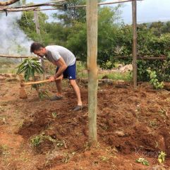 <p><strong>Proyecto Voluntariado</strong></p> <p><strong>2019</strong></p>
