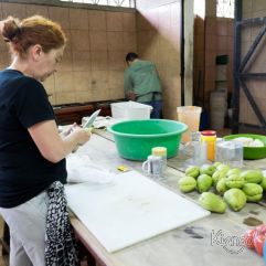 <p><strong>Proyecto Voluntariado</strong></p> <p><strong>2016</strong></p>