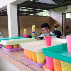 <p><strong>Proyecto Voluntariado</strong></p> <p><strong>2016</strong></p>