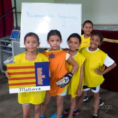 <p><strong>Proyecto Voluntariado</strong></p> <p><strong>2016</strong></p>