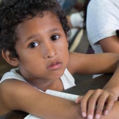<p><strong>Proyecto Voluntariado</strong></p> <p><strong>2016</strong></p>