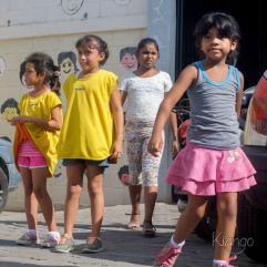<p><strong>Proyecto Voluntariado</strong></p> <p><strong>2016</strong></p>