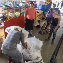 <p><strong>Proyecto Voluntariado</strong></p> <p><strong>2016</strong></p>
