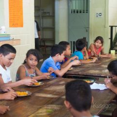 <p><strong>Proyecto Voluntariado</strong></p> <p><strong>2016</strong></p>