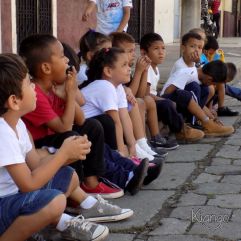 <p><strong>Proyecto Voluntariado</strong></p> <p><strong>2016</strong></p>