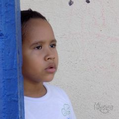 <p><strong>Proyecto Voluntariado</strong></p> <p><strong>2016</strong></p>