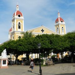 <p><strong>Proyecto Voluntariado</strong></p> <p><strong>2016</strong></p>