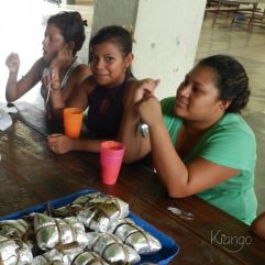<p><strong>Proyecto Voluntariado</strong></p> <p><strong>2016</strong></p>